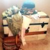 artsyfashion
